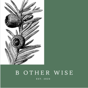 2020-09-22-BOtherWise-logo-300x300